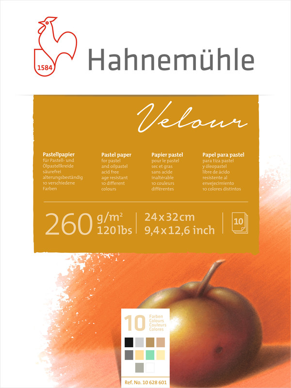 Hahnemühle Pastel  VELOUR  260g/m² 10 sheets
