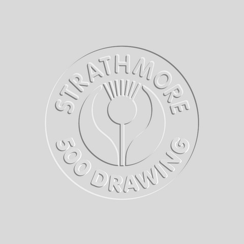 Strath-500-13904 Strathmore 500 Drawing paper 163g, 56x76cm sheets
