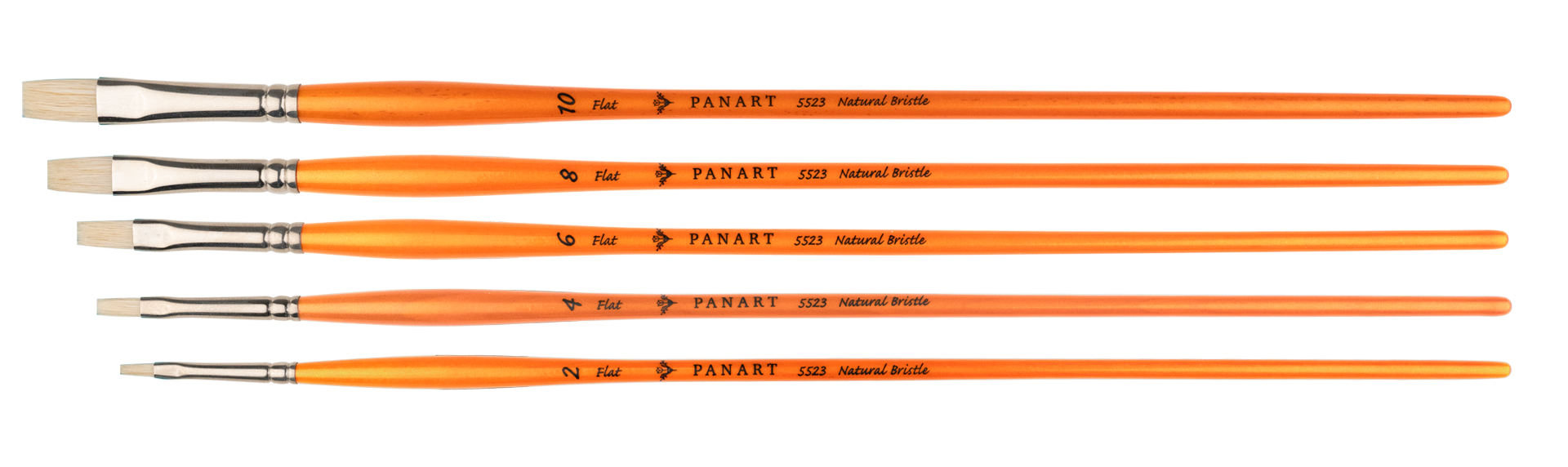 PANART Campus oil brush set BL long handle