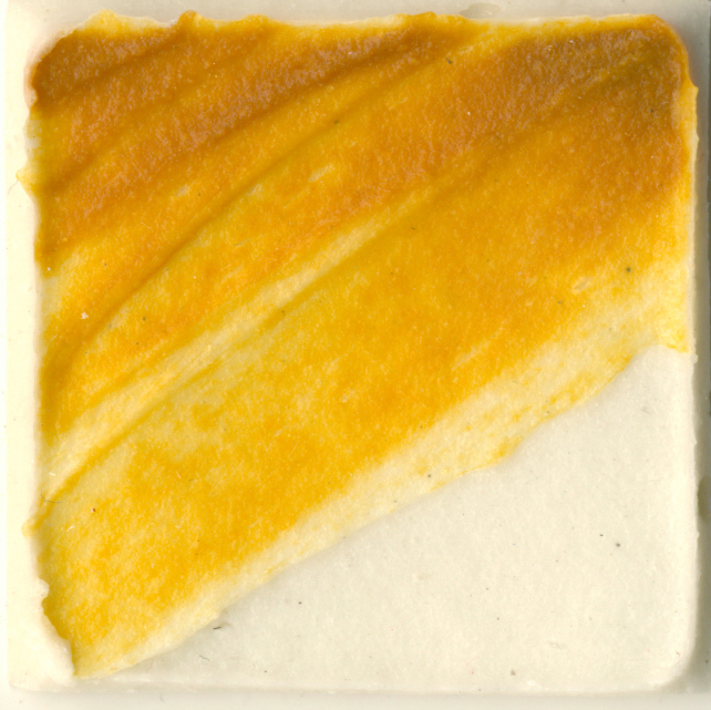 Golden Coarse Molding Paste (3572)
