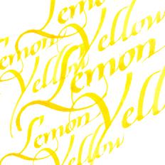 Winsor and Newton Kalligraphie Tuschen 30 ml