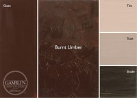 Burnt Umber PG1