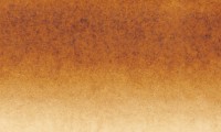 Sepia #438