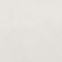 Zinc white #1