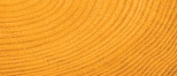 003 Golden Yellow