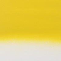 Nick. titan. yellow D #280