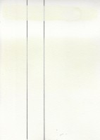 Chinese White PG1 #101