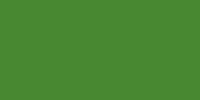 Lime Green #21