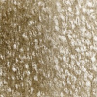 Sepia #OP182