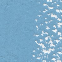 Blue Grey U586